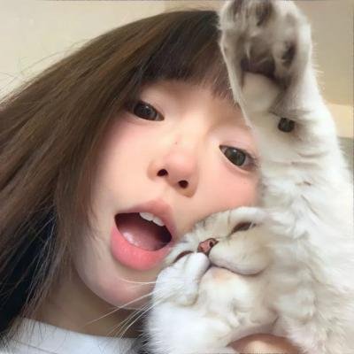 美术馆旁的动物园